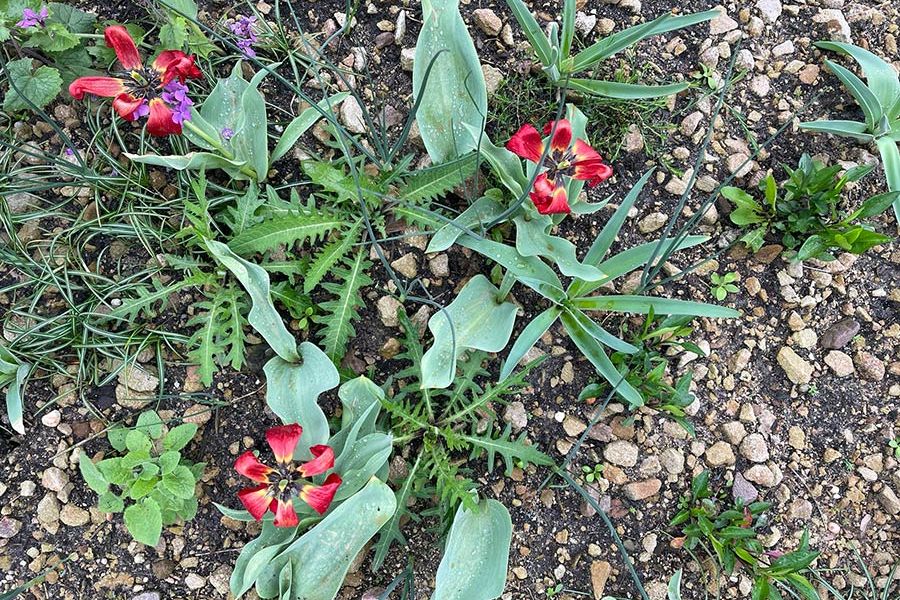 Saunapark Epe nachher