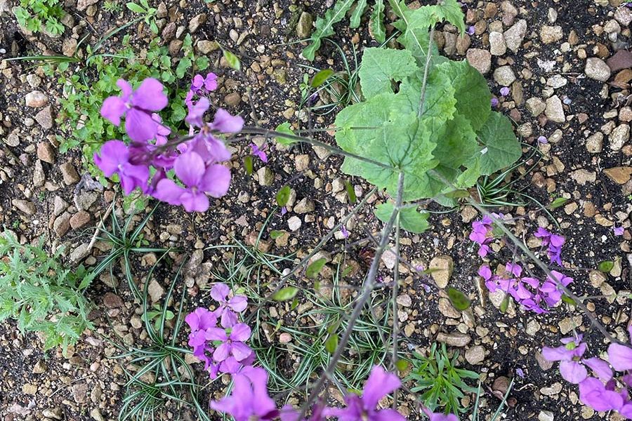 Saunapark Epe nachher