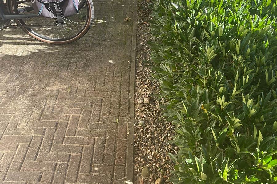 Saunapark Epe vorher