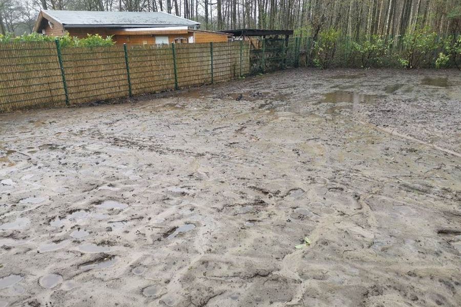 Wildblumenwiese vorher