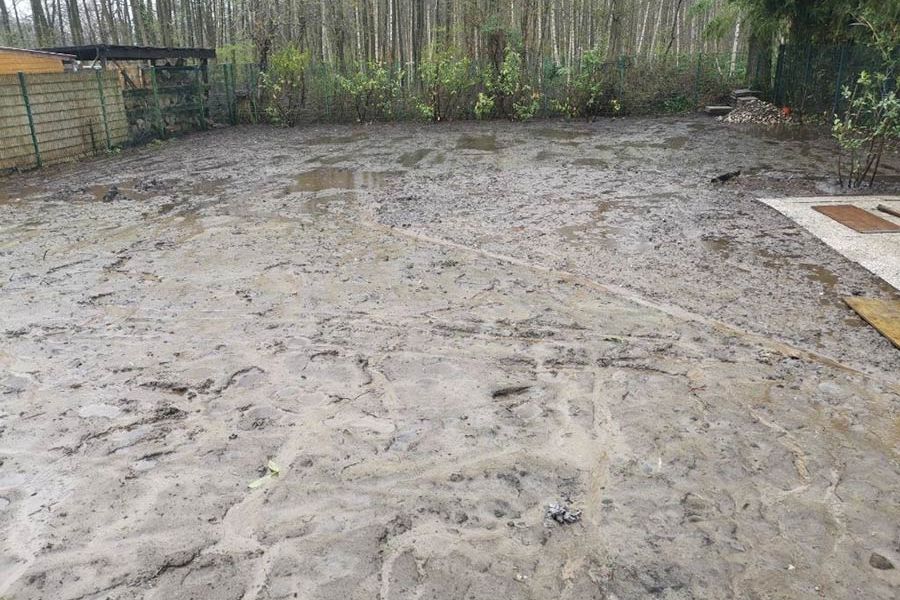 Wildblumenwiese vorher