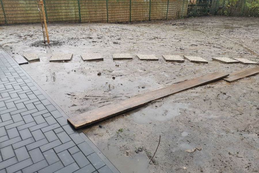 Wildblumenwiese vorher