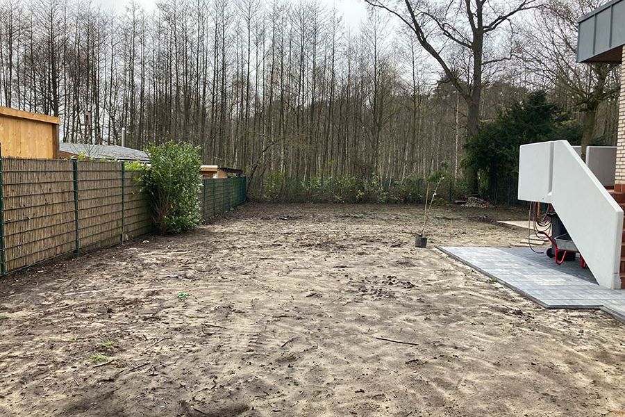 Wildblumenwiese vorher