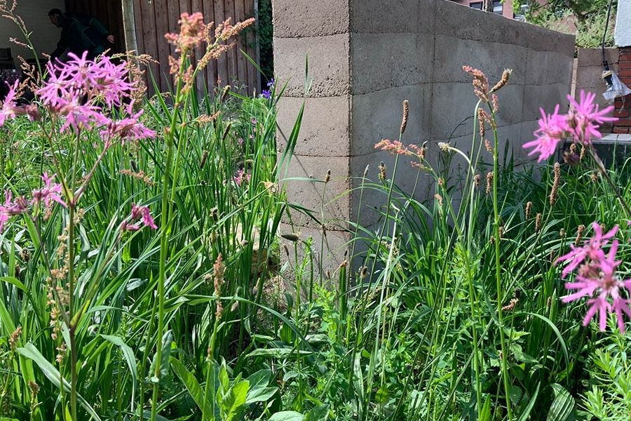 Regenwasserversickerung