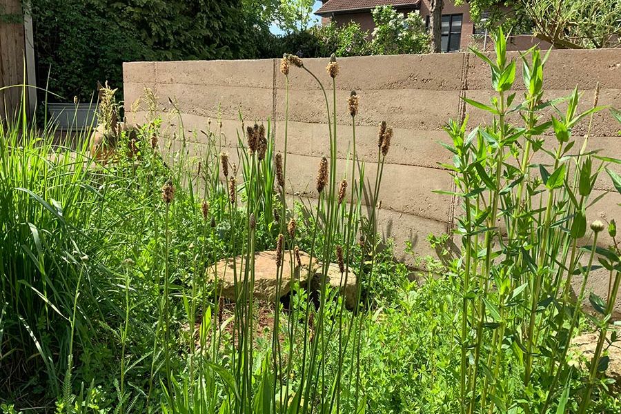 Regenwasserversickerung nachher