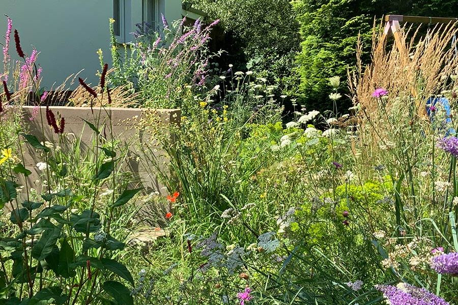 Regenwasserversickerung nachher