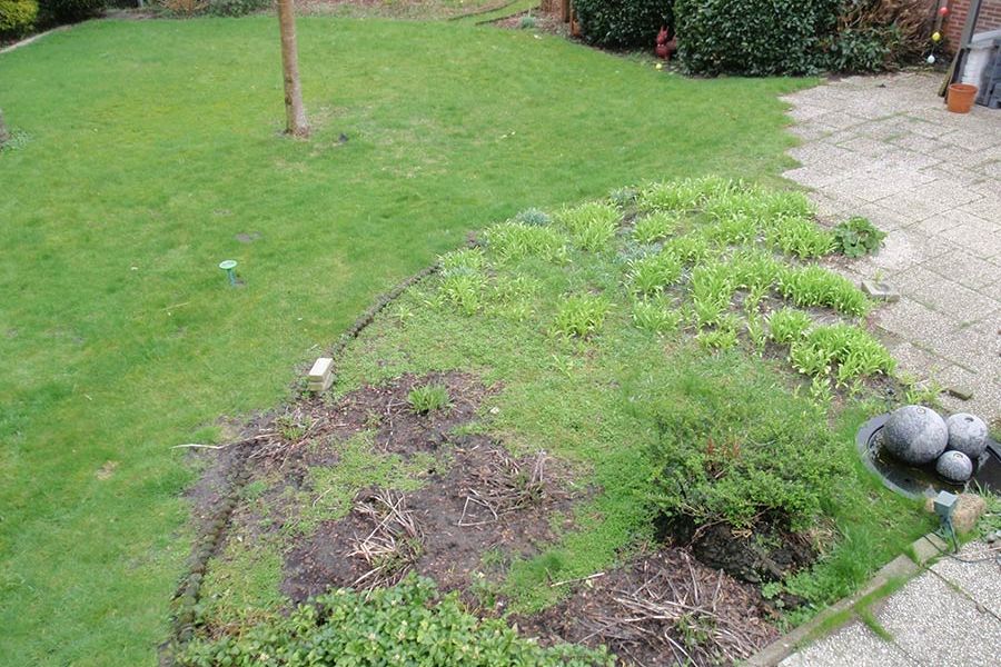 Regenwasserversickerung vorher